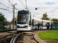 À Mannheim et Ludwigshafen : les étudiants peuvent devenir conducteurs de tramway