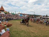 L’Alsace est invitée d’honneur au marché équin de Saignelégier ce week-end