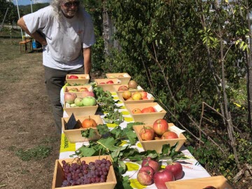 Les arboriculteurs ouvrent les portes de leur verger ce dimanche