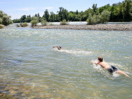 Plongée en eaux rhénanes : dans les rapides rafraîchissants d'Istein